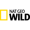 IHR's TV Channel : Channel 324 <br /><br />National Geographic Wild will show you the most exotic places on earth. You will experience strong and intoxicating emotions. English channel in HD